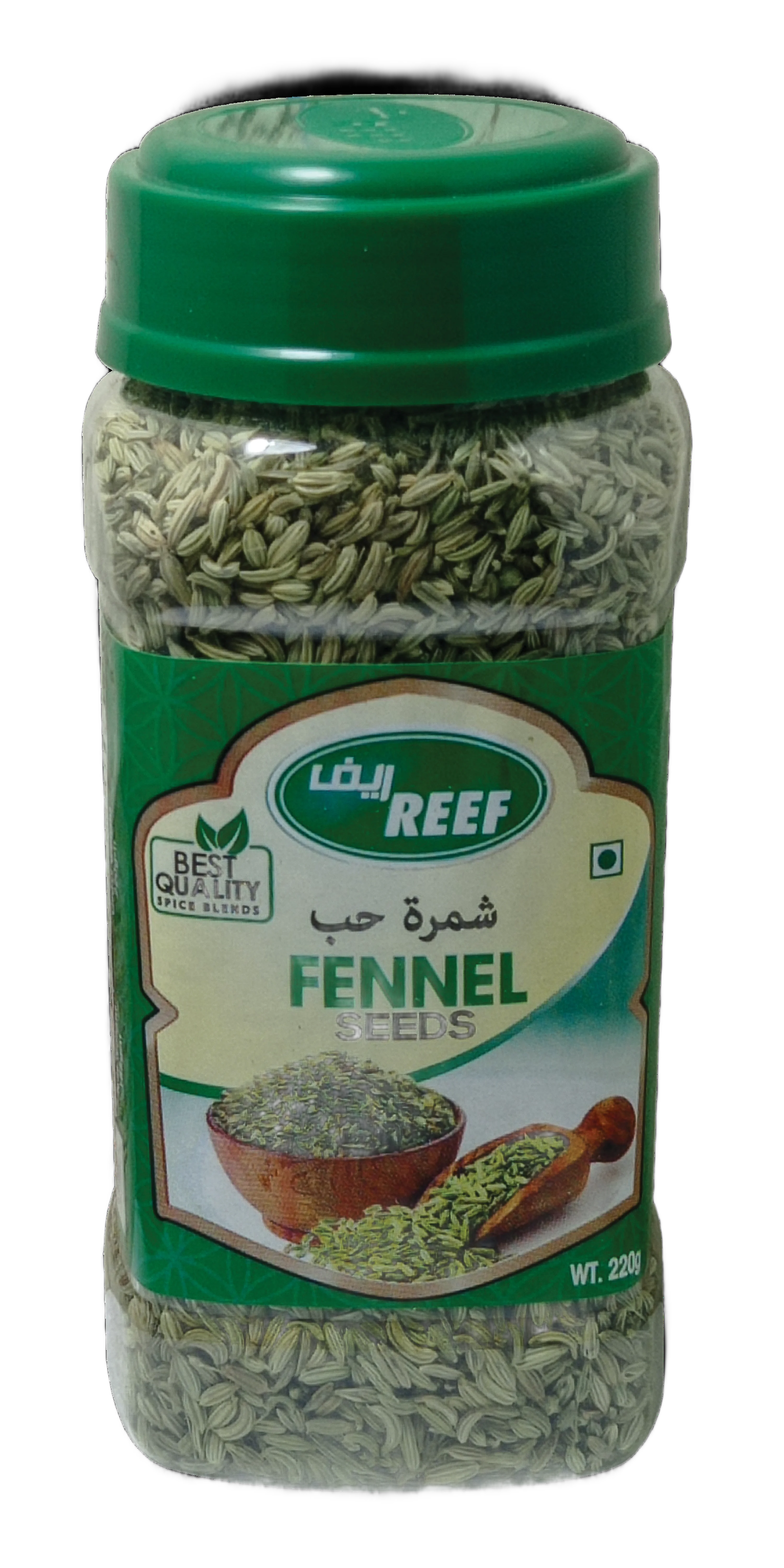 Fennel
